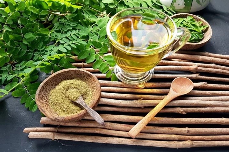 Moringa é bom para quê? para que serve, benefícios e malefícios