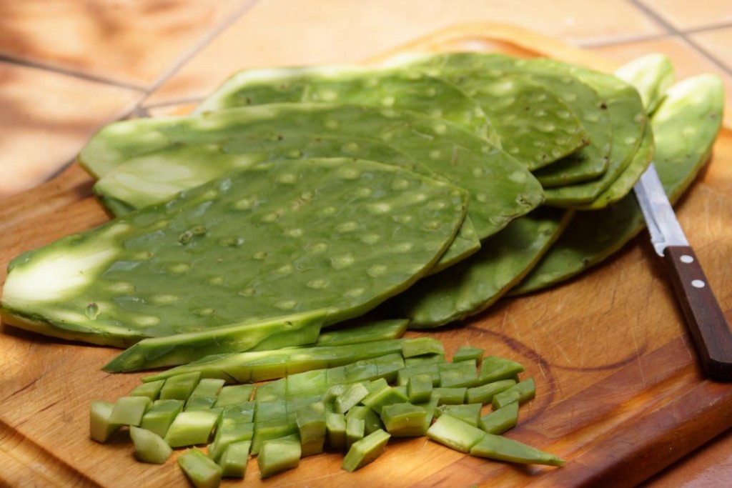 Nopal: 20 benefícios, informação nutricional e malefícios