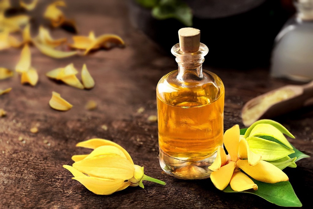 Óleo de Ylang Ylang para que serve? como tomar, benefícios e malefícios