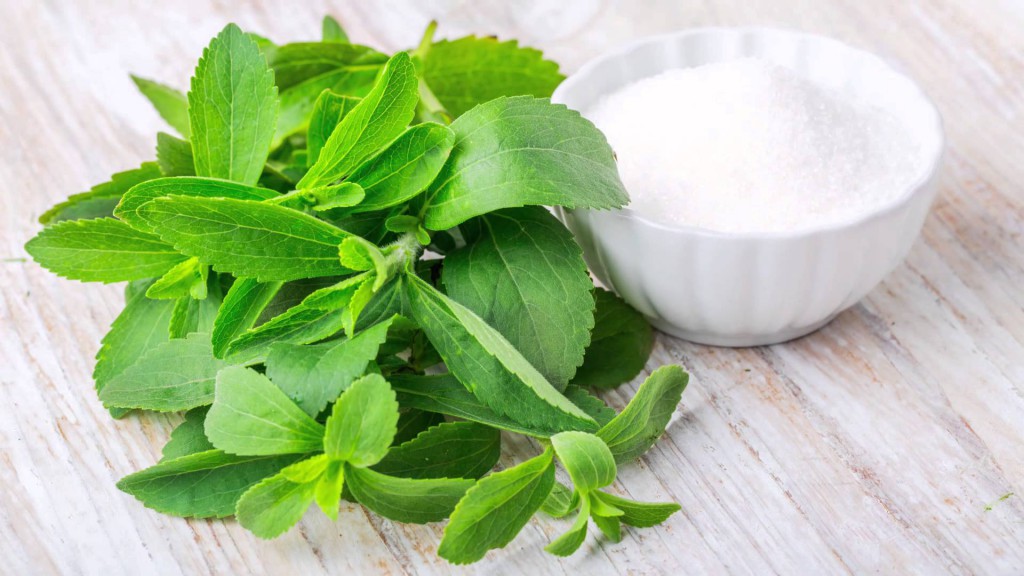 Stevia é bom para quê? para que serve, benefícios e malefícios