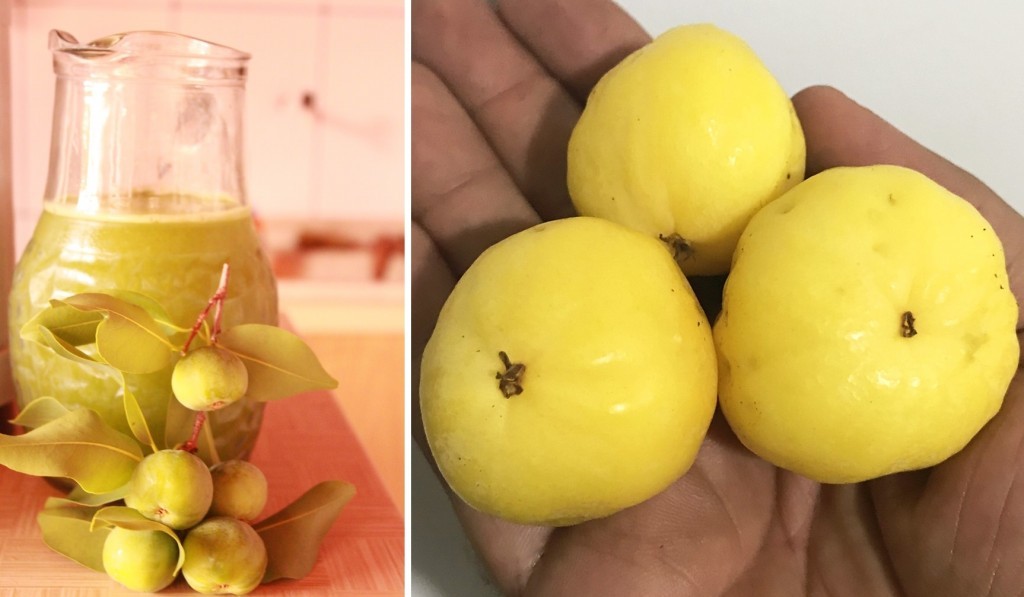 Suco de Cagaita é bom para quê? como fazer e para que serve