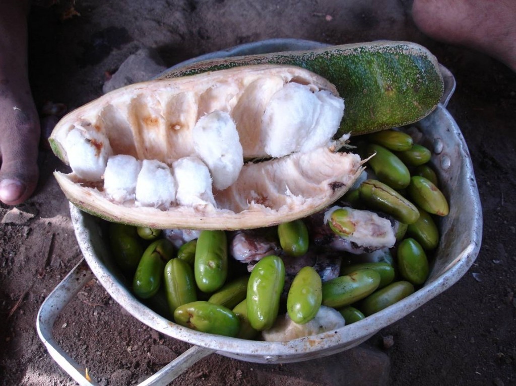 Suco de Inga Branca é bom para quê? como fazer e para que serve