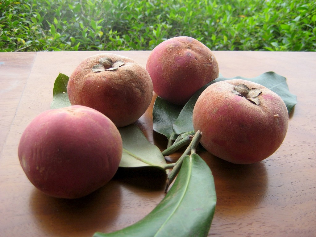 Suco de Mabolo é bom para quê? como fazer e para que serve