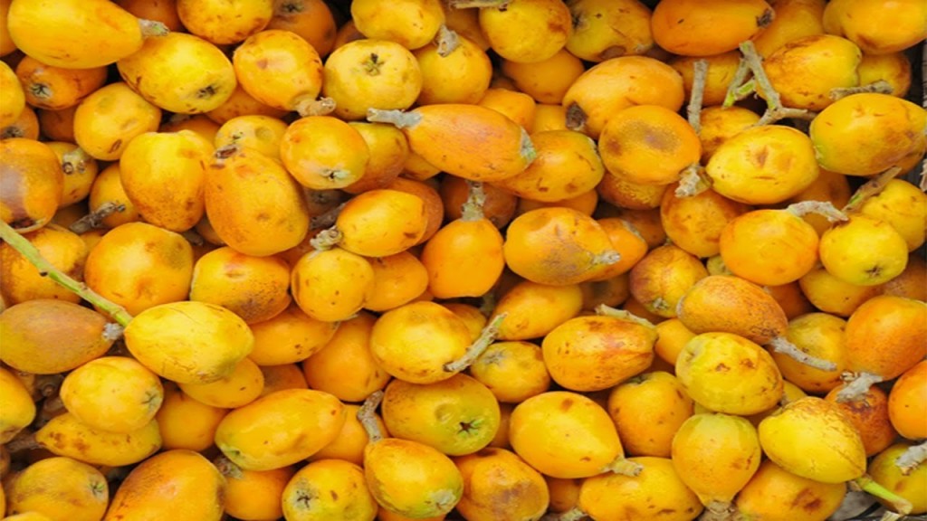 suco de marula