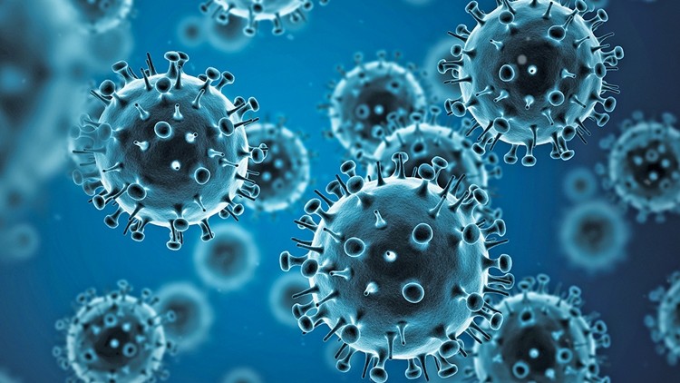Gripe: como combater, prevenir e melhores receitas