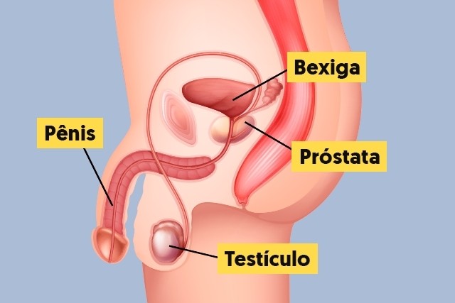 Aliviar Inflamação da Próstata: Melhores Remédios Caseiros