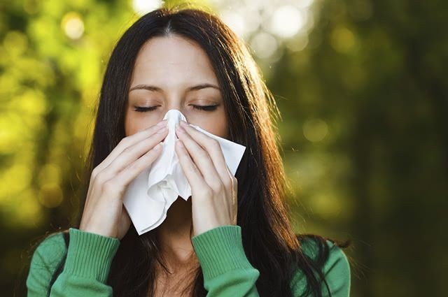 Alergia: As 8 Receitas Caseiras Para o Tratamento