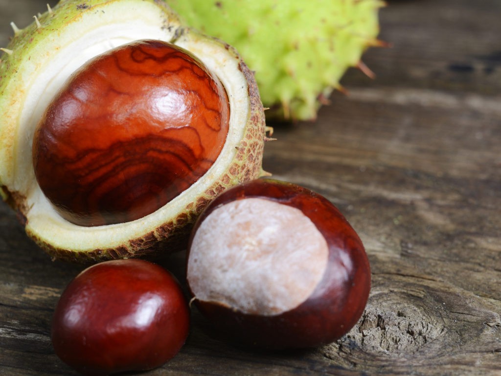 Castanha da Água: 5 benefícios, informação nutricional e malefícios