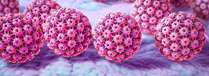 HPV: Vírus do Papiloma Humano Sintomas, Transmissão, Cura e tratamento